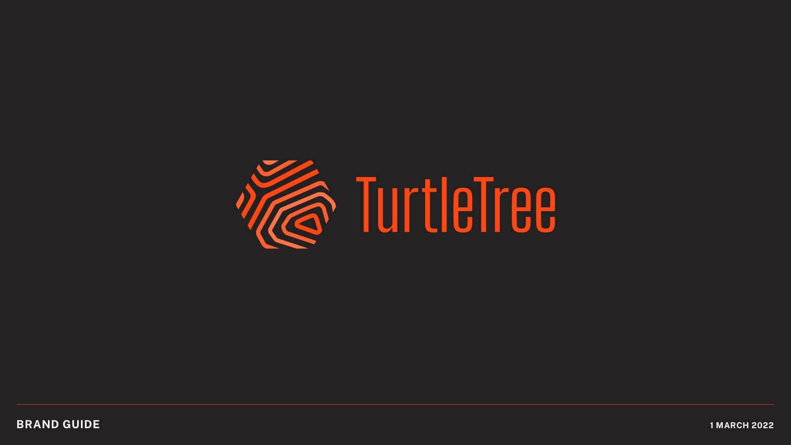 TurtleTree brand work 1